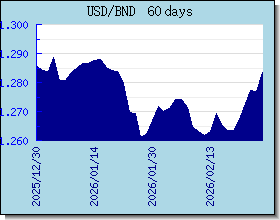 BND döviz kurları grafik ve grafik